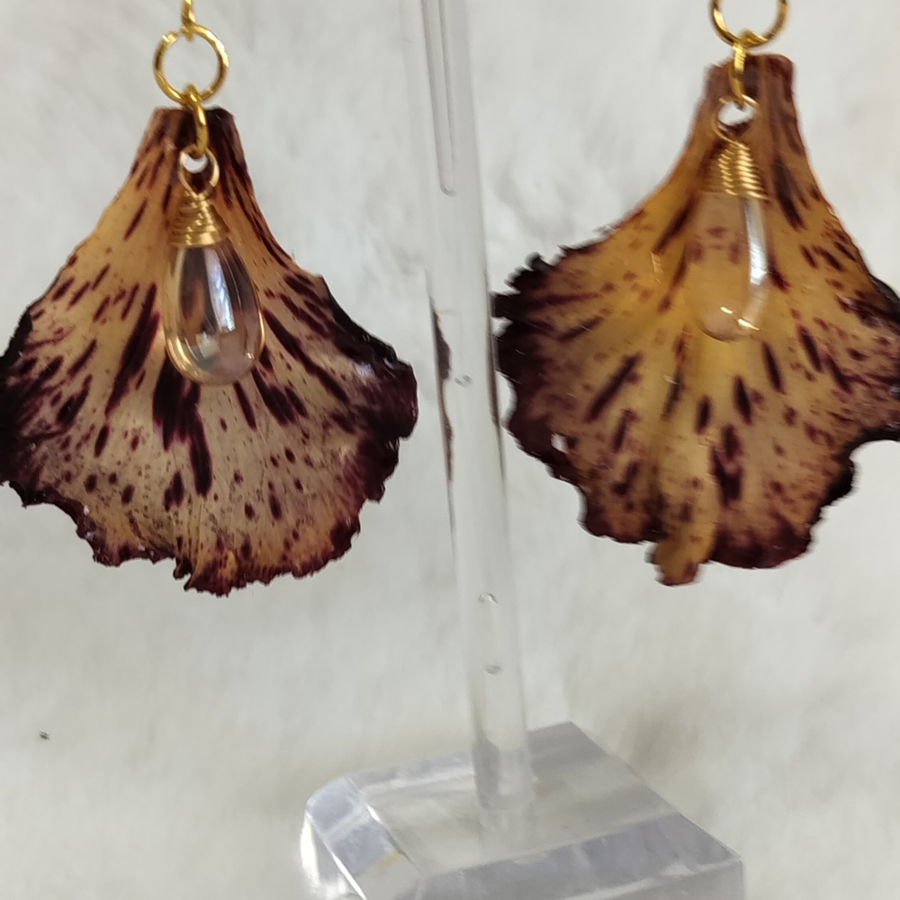 Elegant Natural Brown and Gold Earrings